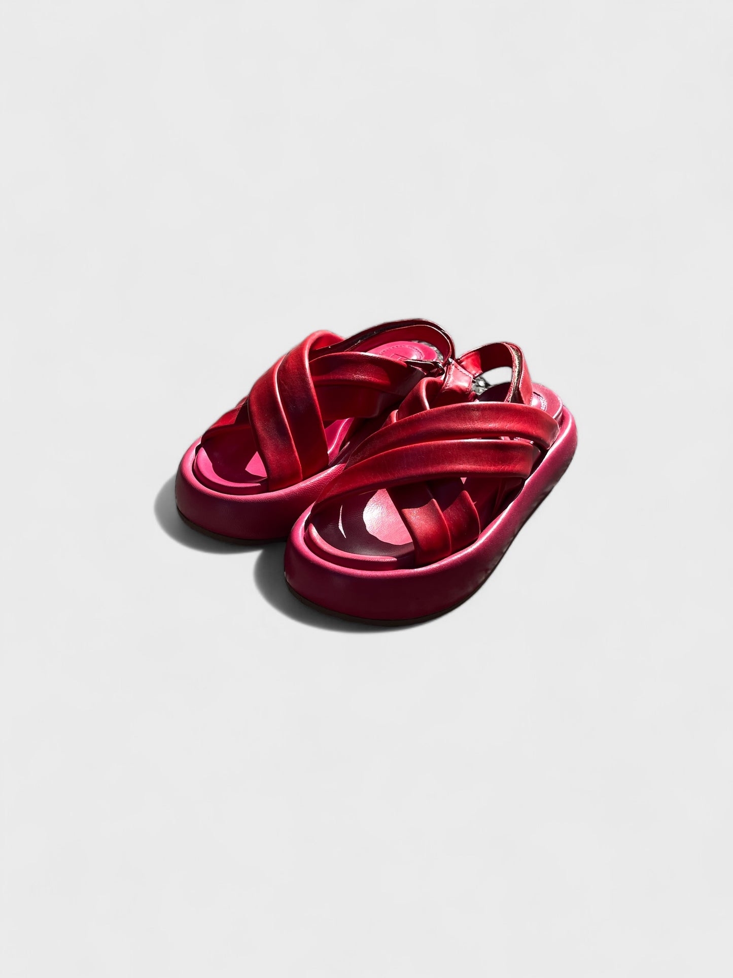 MULE DOUBLE BRIDE